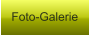 Foto-Galerie