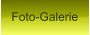 Foto-Galerie