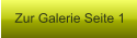 Zur Galerie Seite 1